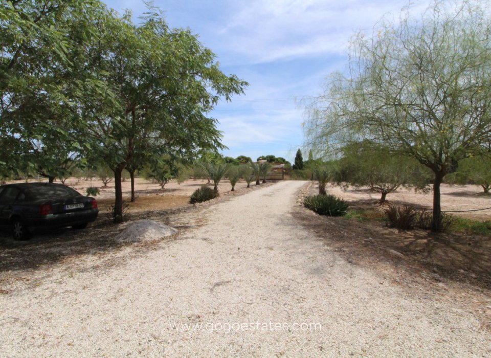 Resale - Plot - Land - Elche - Elche Centro