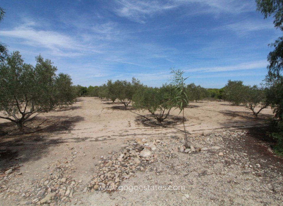 Resale - Plot - Land - Elche - Elche Centro