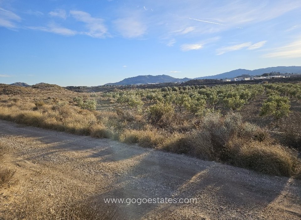 Resale - Plot - Land - Elda - Elda Centro