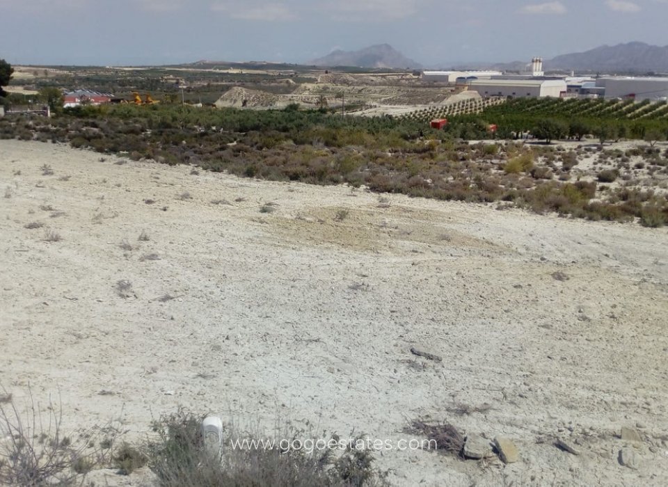 Resale - Plot - Land - Fortuna - Fortuna Centro