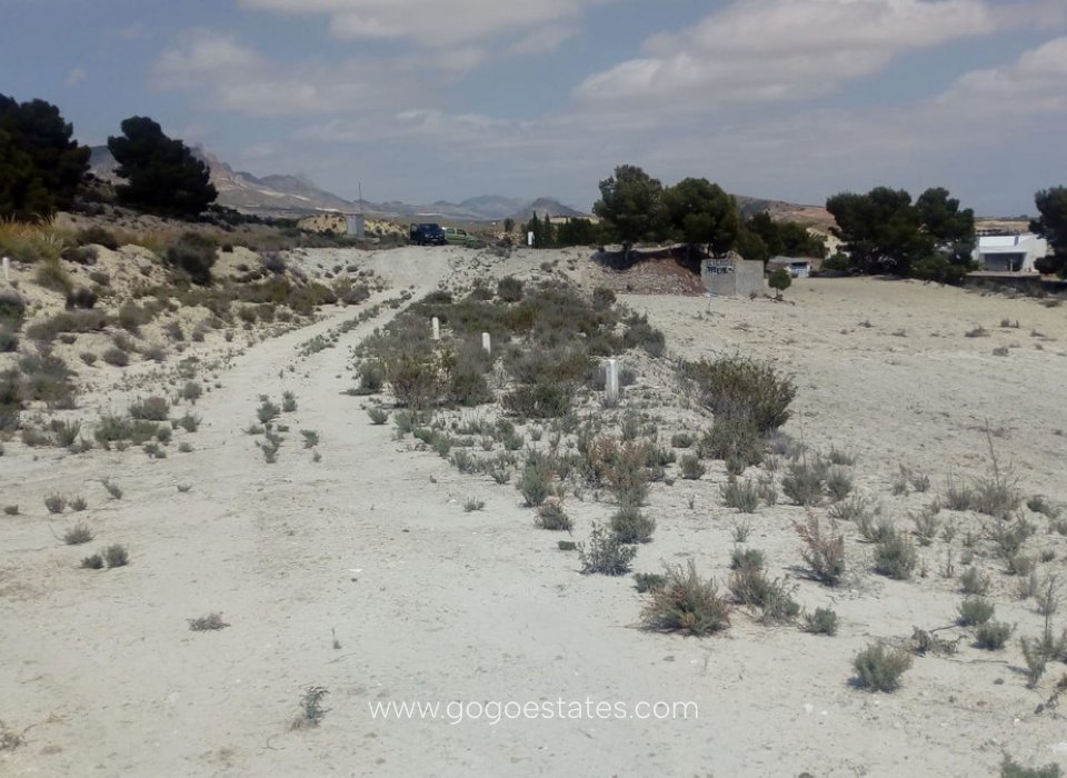 Resale - Plot - Land - Fortuna - Fortuna Centro