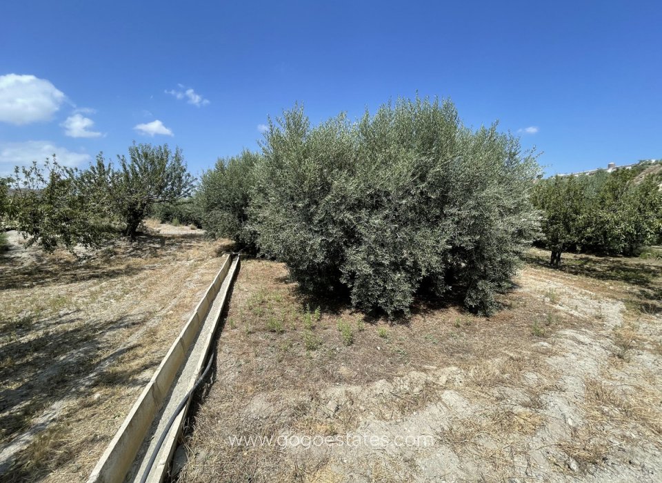 Resale - Plot - Land - Huércal-Overa