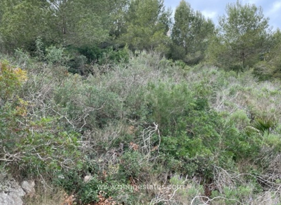 Resale - Plot - Land - Jávea Xàbia - Jávea - Xàbia Centro
