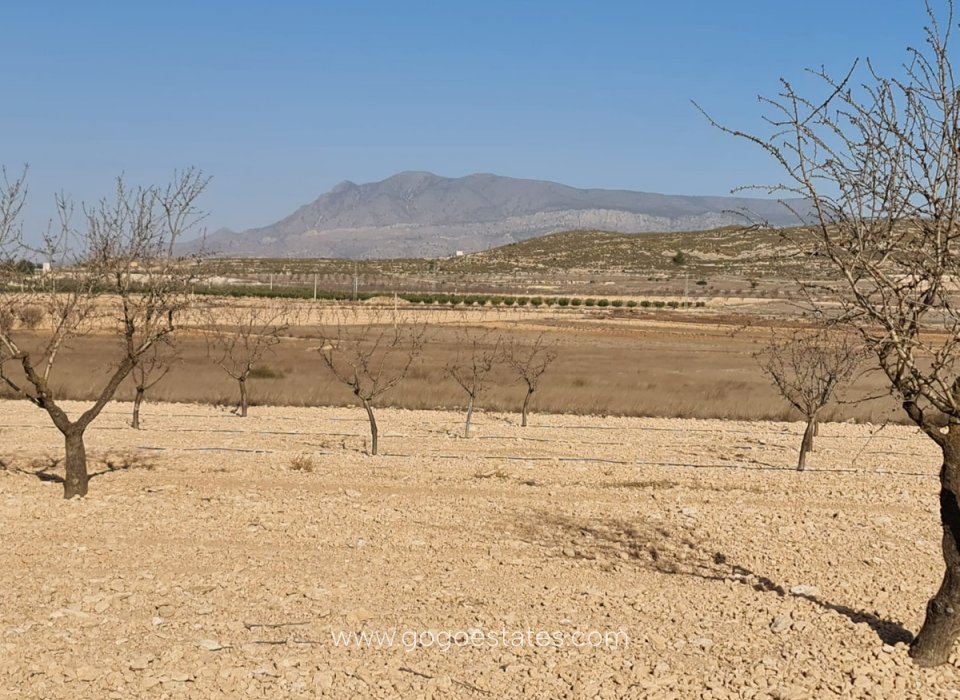 Resale - Plot - Land - Jumilla - Jumilla Centro