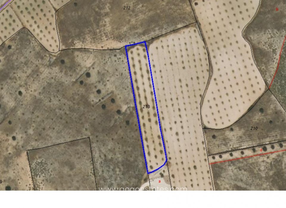 Resale - Plot - Land - Jumilla - Jumilla Centro