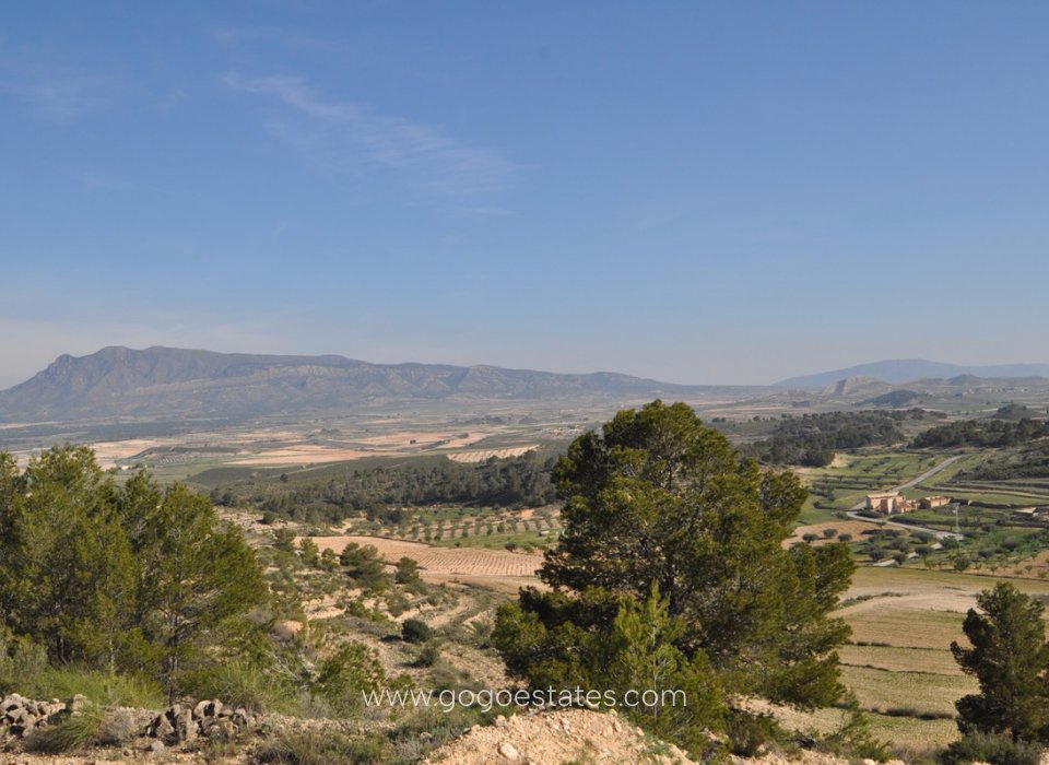 Resale - Plot - Land - Jumilla - La Zarza