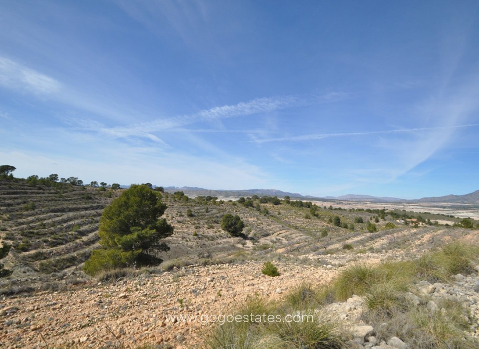 Resale - Plot - Land - Jumilla - La Zarza