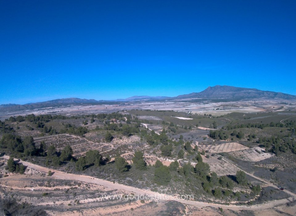 Resale - Plot - Land - Jumilla - La Zarza