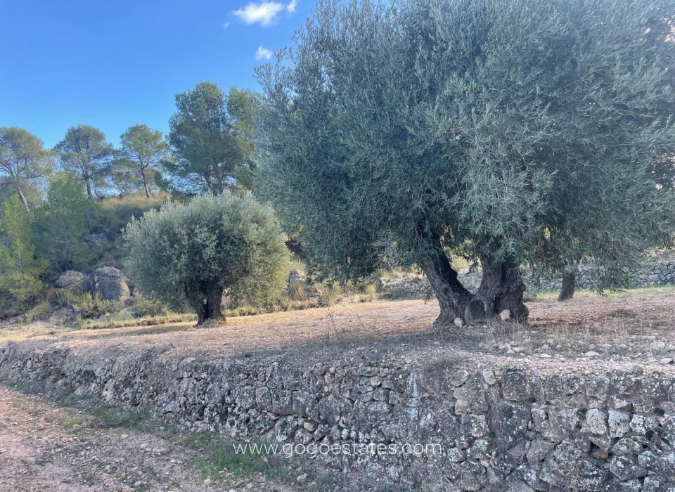 Resale - Plot - Land - Jumilla - La Zarza