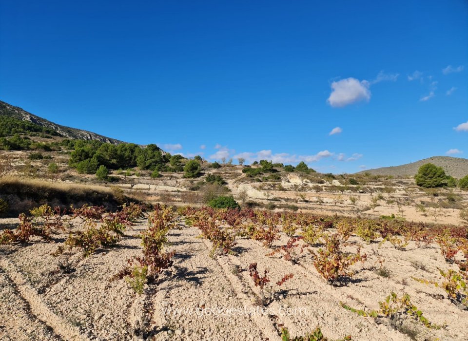 Resale - Plot - Land - La Romana - La Romana Centro