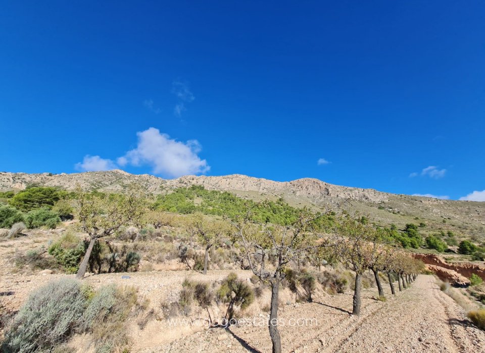 Resale - Plot - Land - La Romana - La Romana Centro