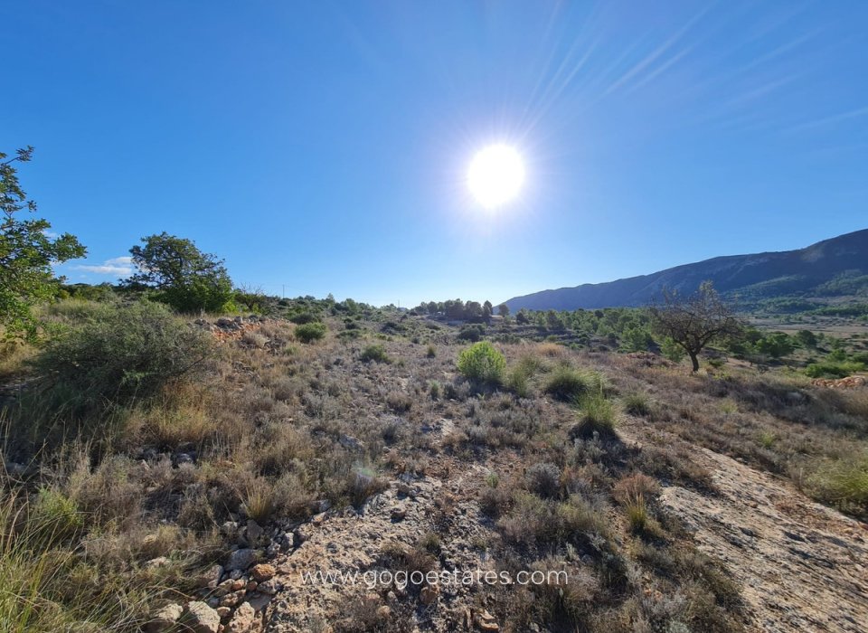 Resale - Plot - Land - La Romana - La Romana Centro