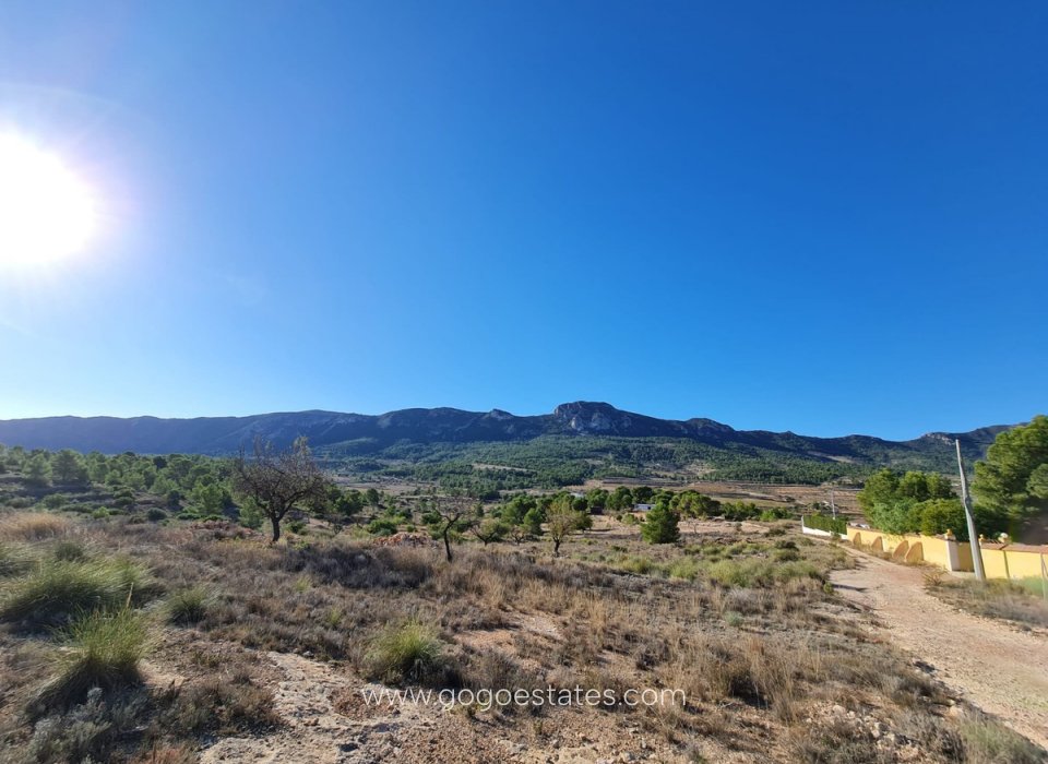 Resale - Plot - Land - La Romana - La Romana Centro