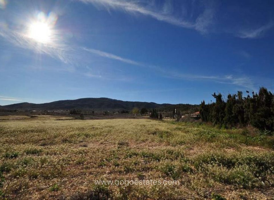 Resale - Plot - Land - Monóvar - Monòver - Chinorlet