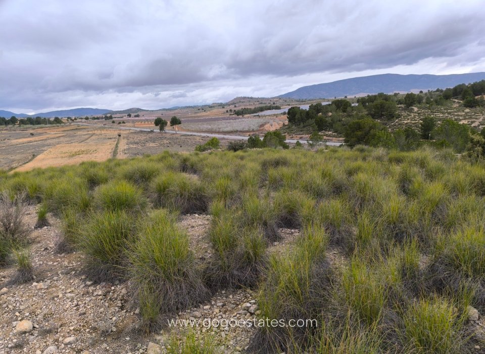 Resale - Plot - Land - Monóvar - Monòver - Chinorlet