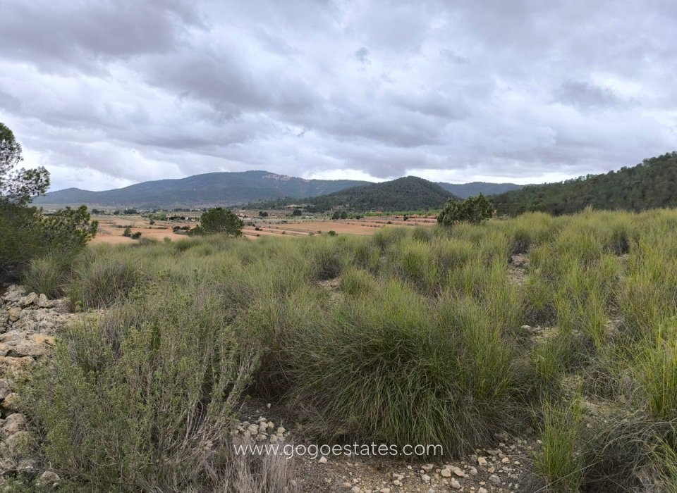 Resale - Plot - Land - Monóvar - Monòver - Chinorlet