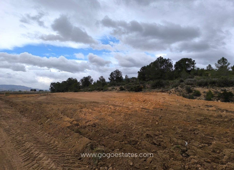 Resale - Plot - Land - Monóvar - Monòver - Chinorlet