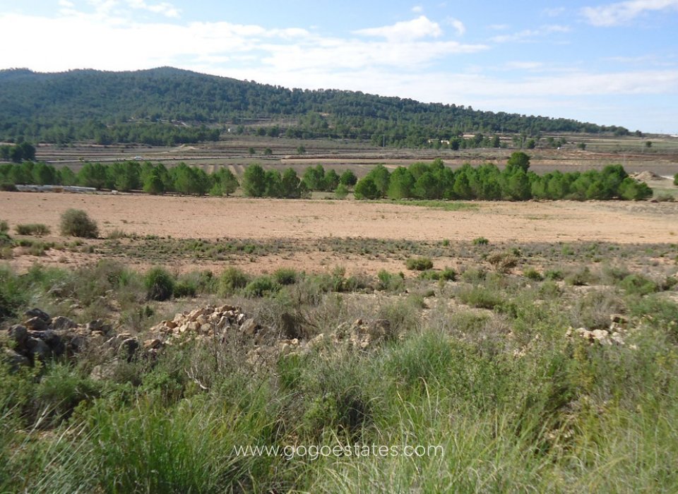 Resale - Plot - Land - Monóvar - Monòver - Monóvar - Monòver Centro