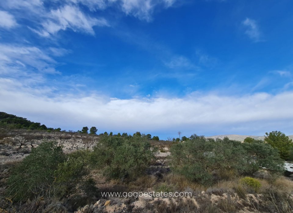 Resale - Plot - Land - Monóvar - Monòver - Monóvar - Monòver Centro