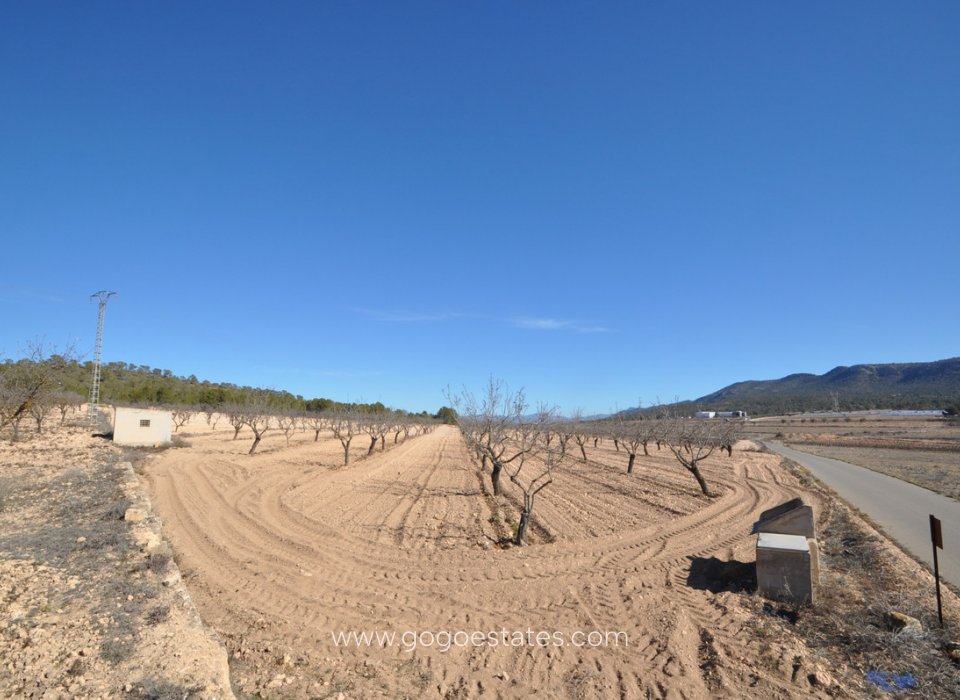 Resale - Plot - Land - Monóvar - Monòver - Monóvar - Monòver Centro