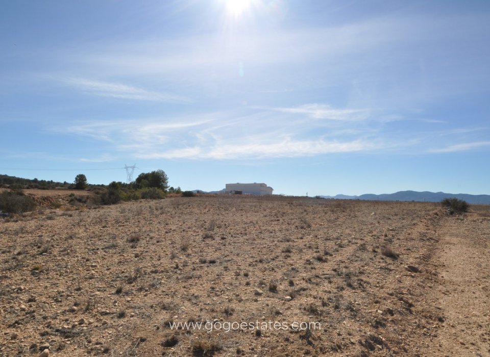 Resale - Plot - Land - Monóvar - Monòver - Monóvar - Monòver Centro