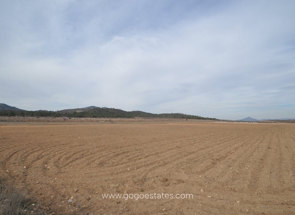 Resale - Plot - Land - Monóvar - Monòver - Monóvar - Monòver Centro