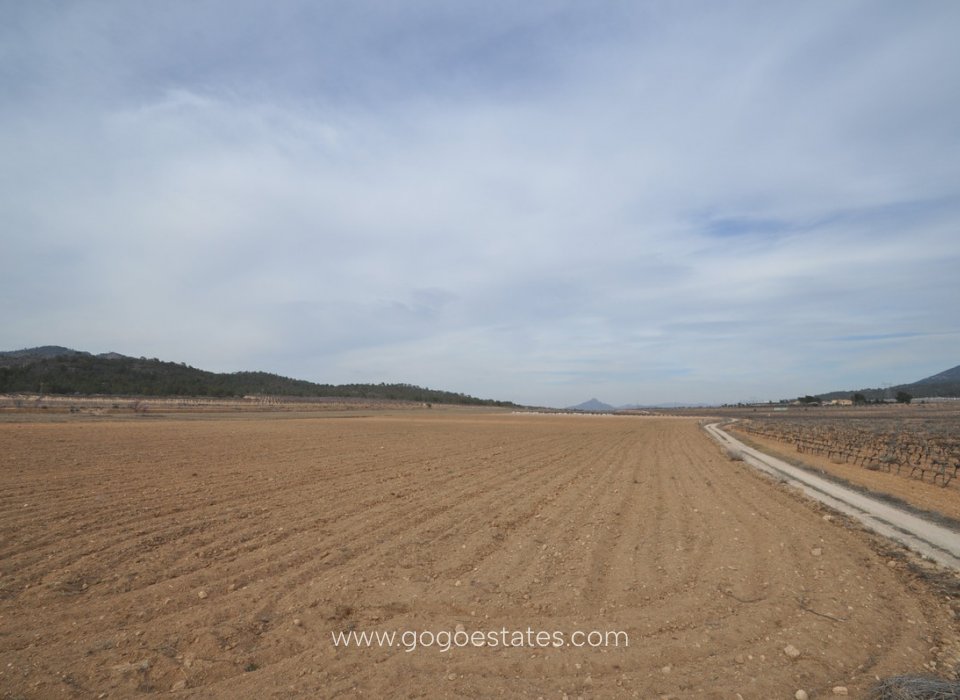 Resale - Plot - Land - Monóvar - Monòver - Monóvar - Monòver Centro