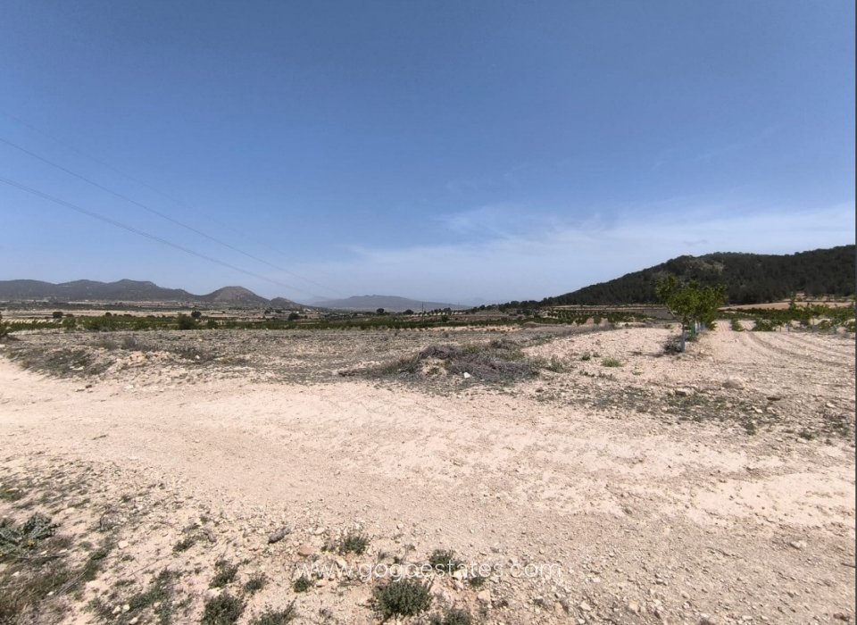 Resale - Plot - Land - Monóvar - Monòver - Monóvar - Monòver Centro