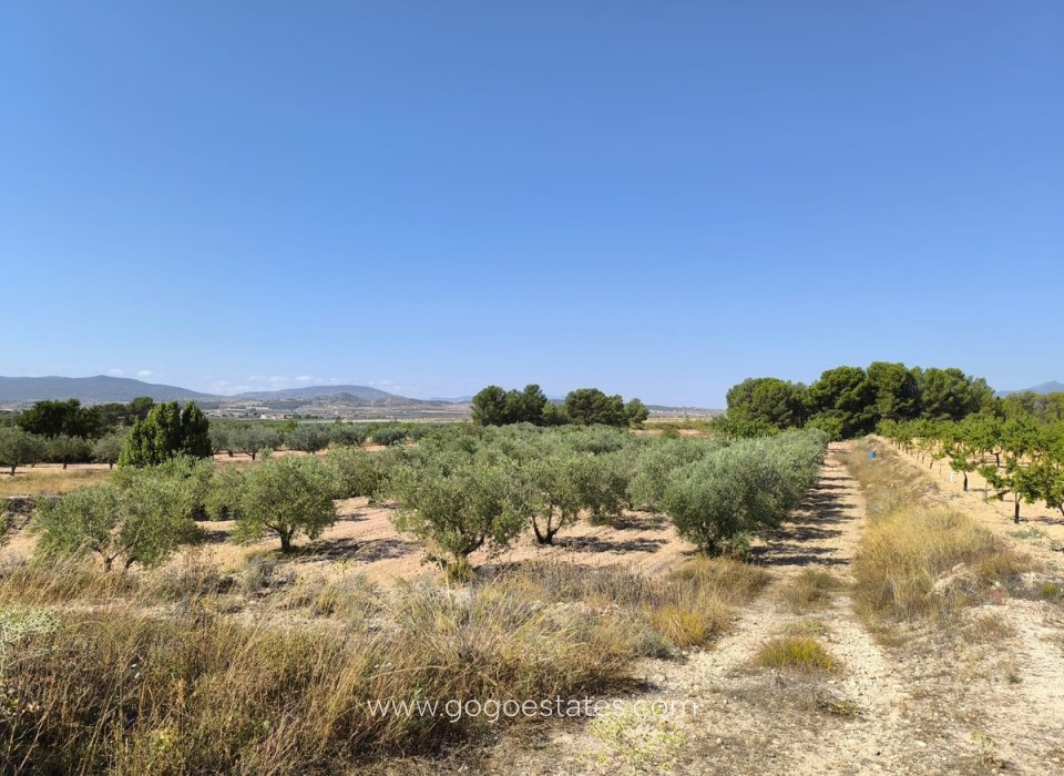 Resale - Plot - Land - Monóvar - Monòver - Monóvar - Monòver Centro