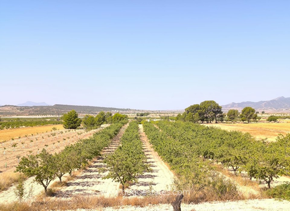 Resale - Plot - Land - Monóvar - Monòver - Monóvar - Monòver Centro