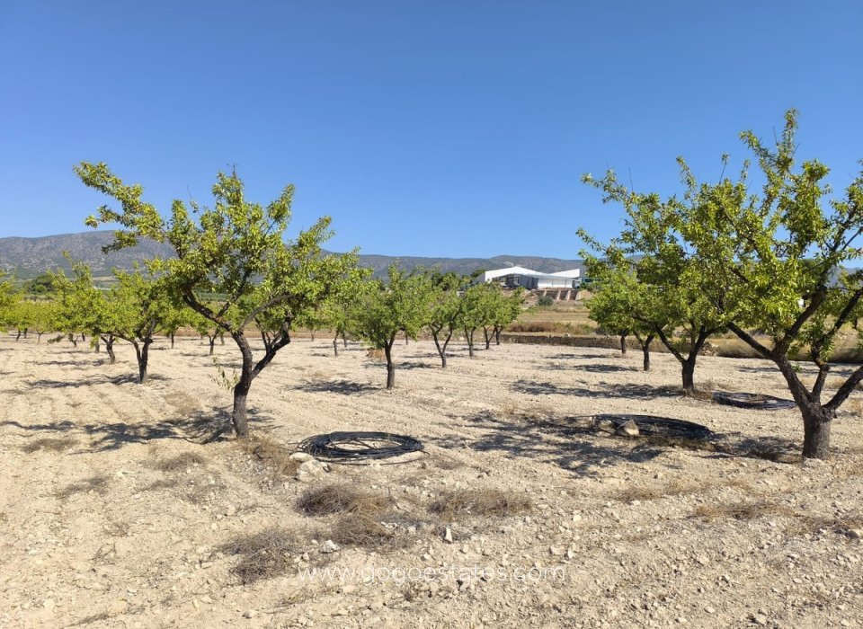 Resale - Plot - Land - Monóvar - Monòver - Monóvar - Monòver Centro