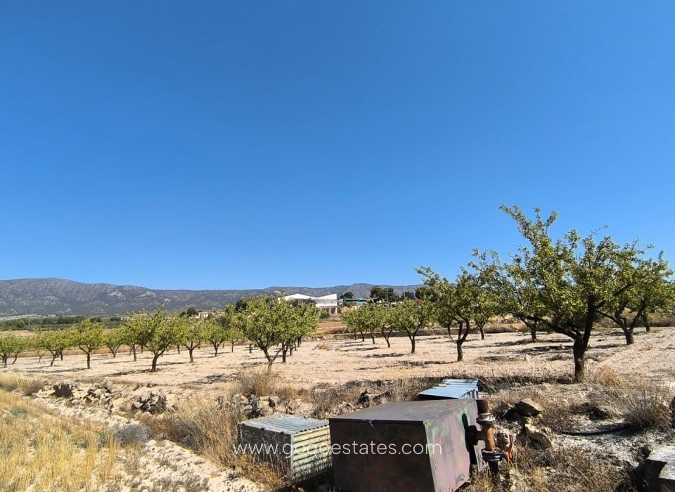 Resale - Plot - Land - Monóvar - Monòver - Monóvar - Monòver Centro