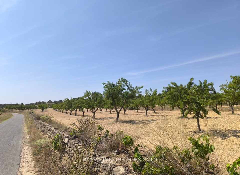 Resale - Plot - Land - Monóvar - Monòver - Monóvar - Monòver Centro