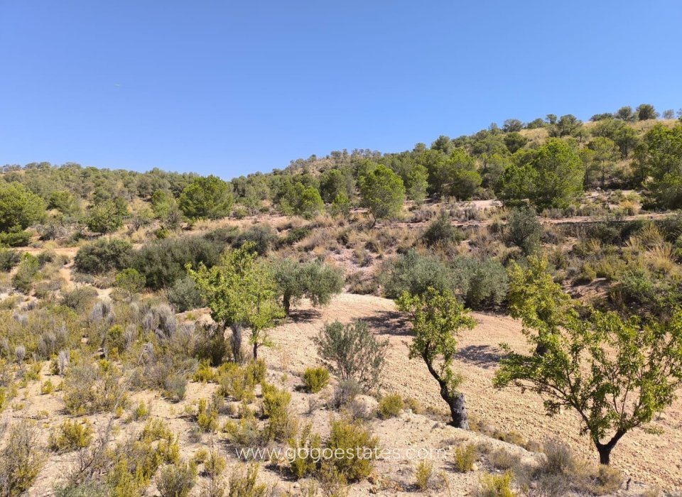 Resale - Plot - Land - Monóvar - Monòver - Monóvar - Monòver Centro