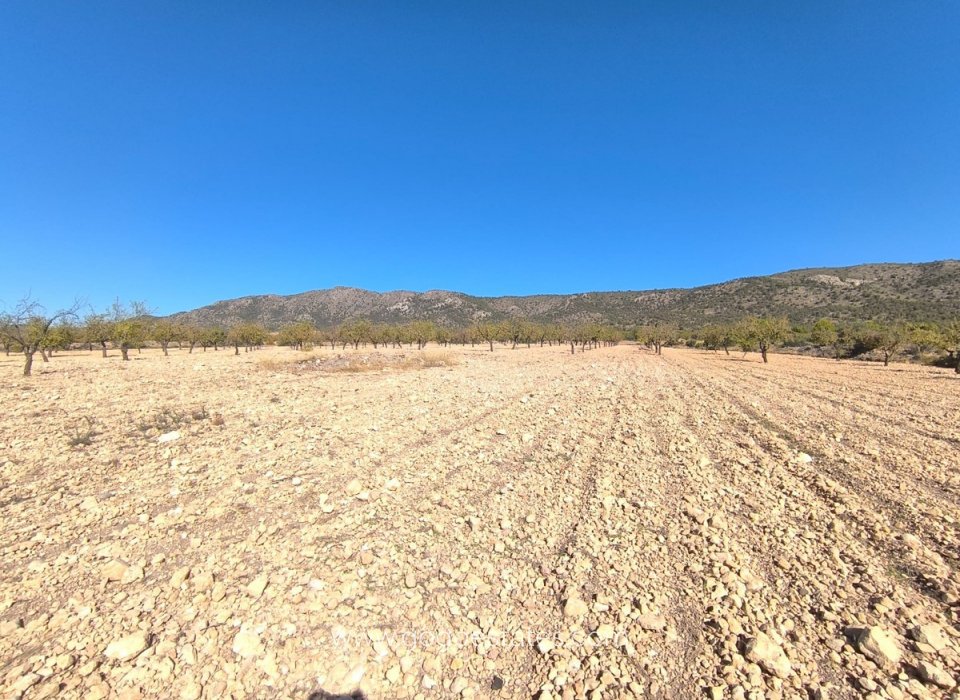 Resale - Plot - Land - Monóvar - Monòver - Monóvar - Monòver Centro