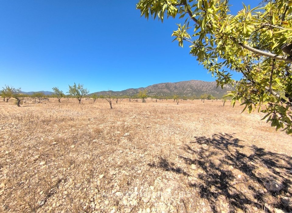 Resale - Plot - Land - Monóvar - Monòver - Monóvar - Monòver Centro