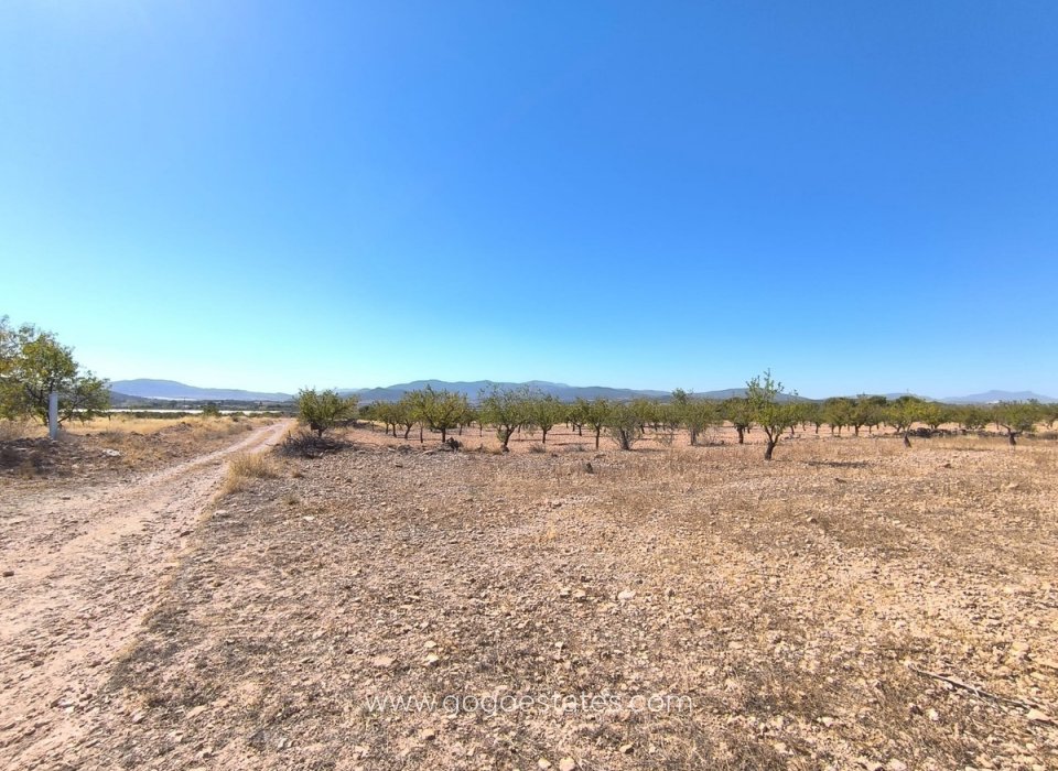 Resale - Plot - Land - Monóvar - Monòver - Monóvar - Monòver Centro