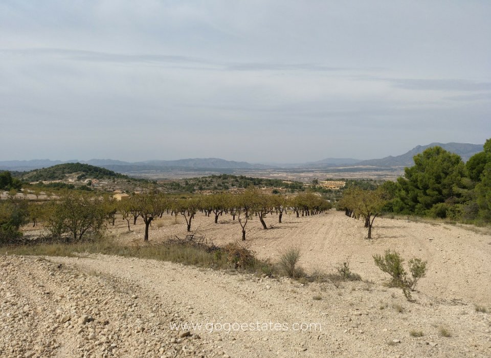 Resale - Plot - Land - Murcia - Abanilla Centro