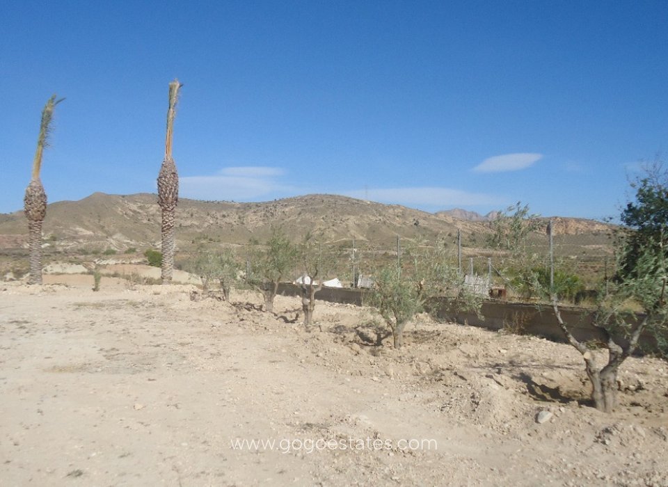 Resale - Plot - Land - Murcia - Abanilla Centro