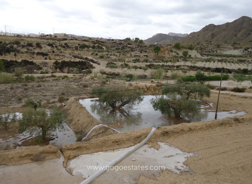 Resale - Plot - Land - Murcia - Abanilla Centro