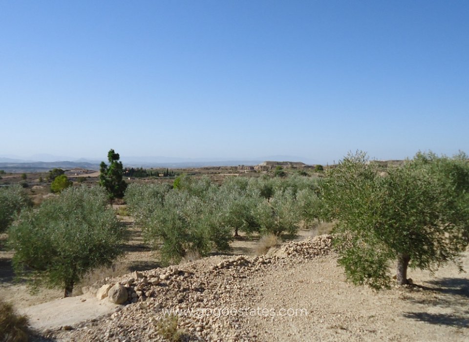 Resale - Plot - Land - Murcia - Abanilla Centro