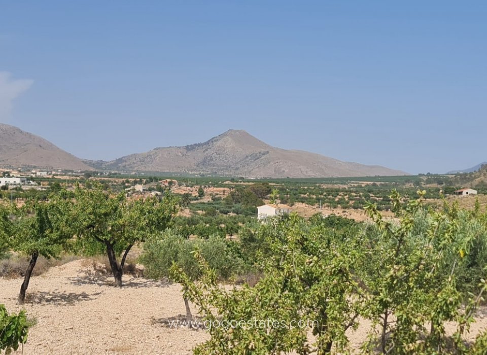 Resale - Plot - Land - Murcia - Abanilla Centro