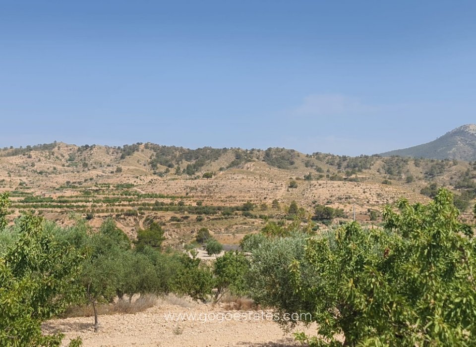 Resale - Plot - Land - Murcia - Abanilla Centro