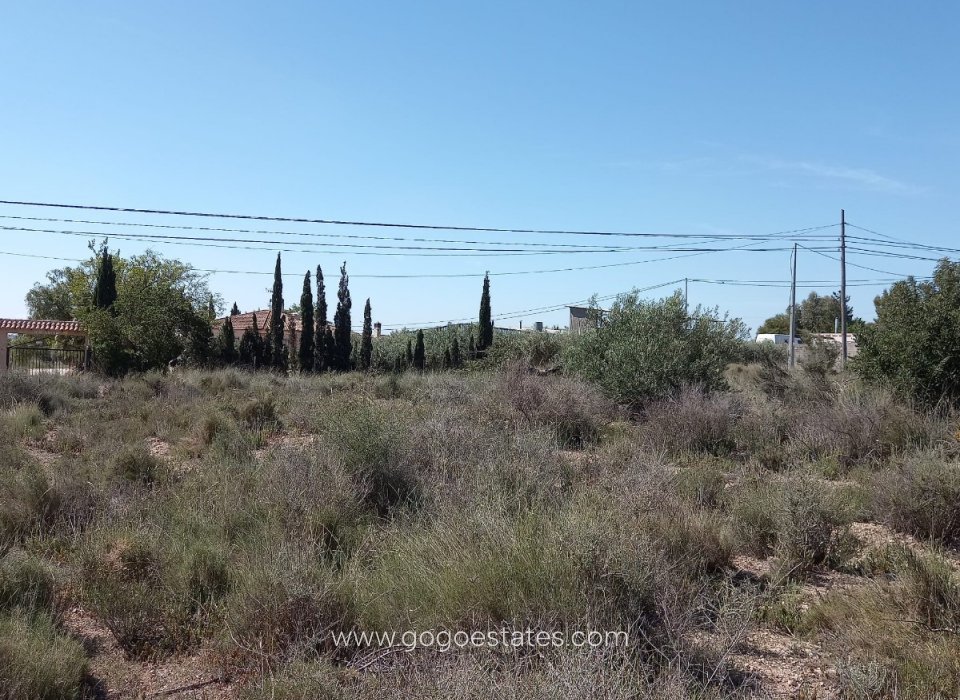 Resale - Plot - Land - Novelda - Novelda Centro