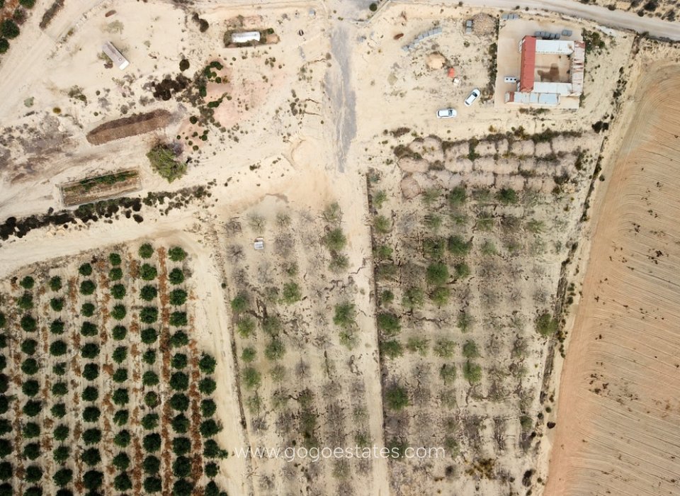 Resale - Plot - Land - Orihuela - Torremendo