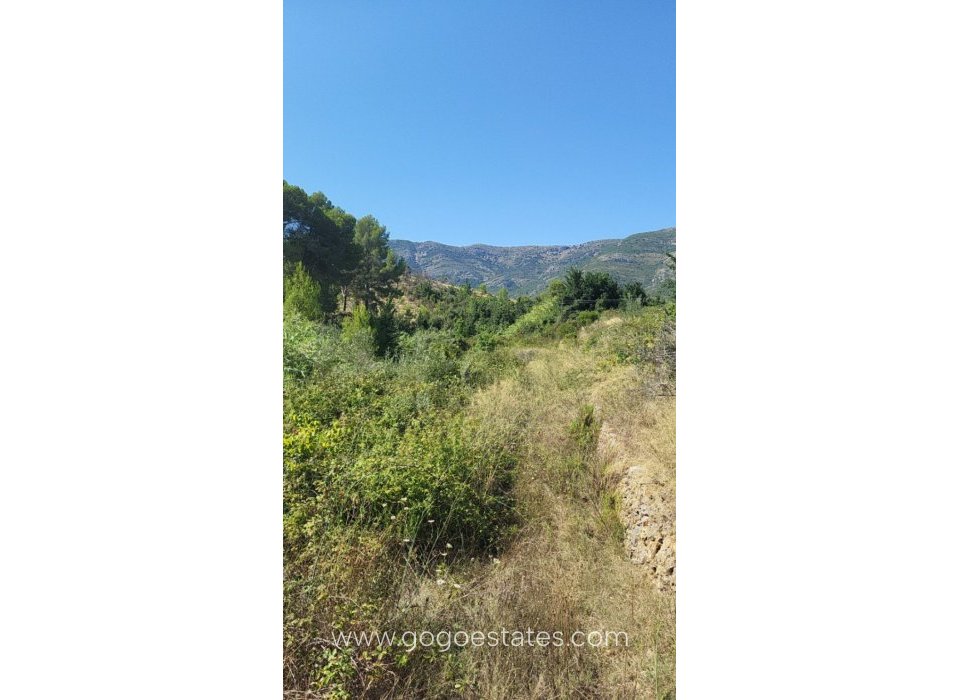 Resale - Plot - Land - Parcent