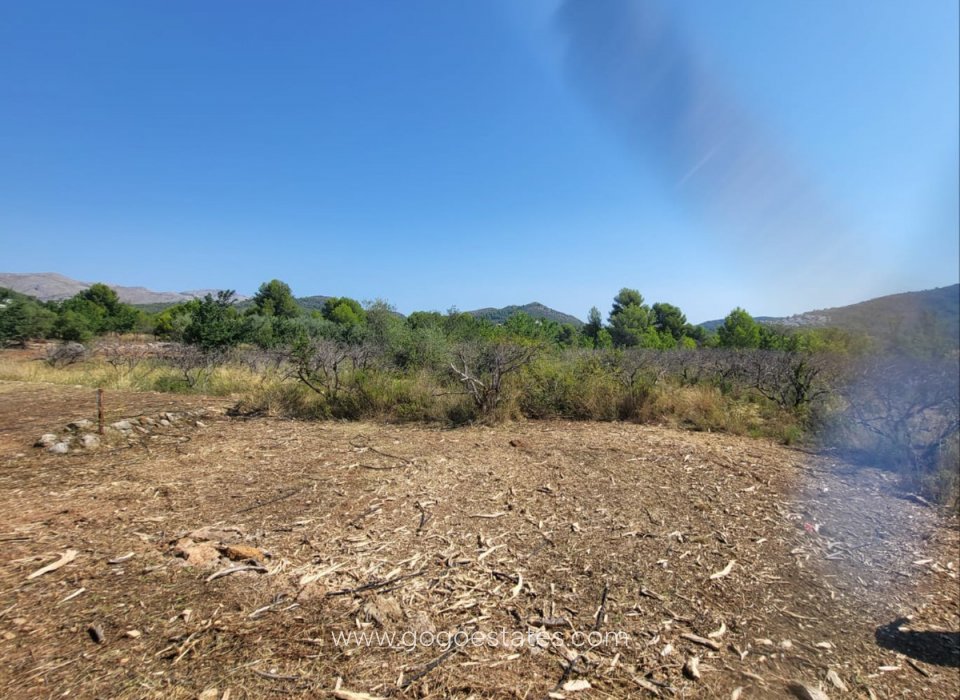 Resale - Plot - Land - Parcent