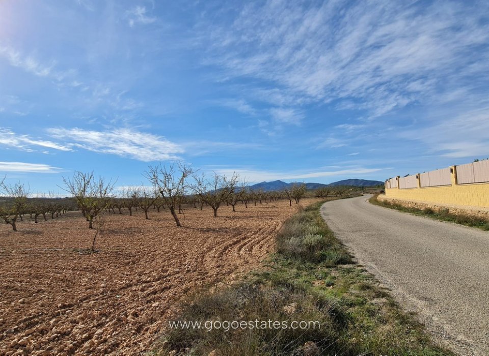 Resale - Plot - Land - Pinoso - Aspe