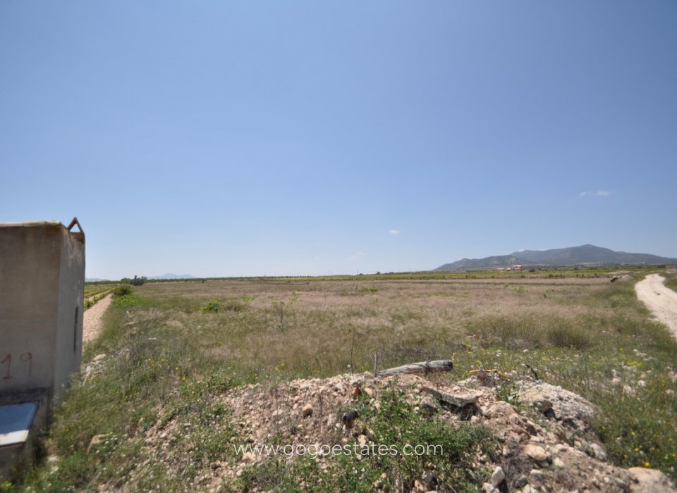Resale - Plot - Land - Pinoso - Pinoso Centro