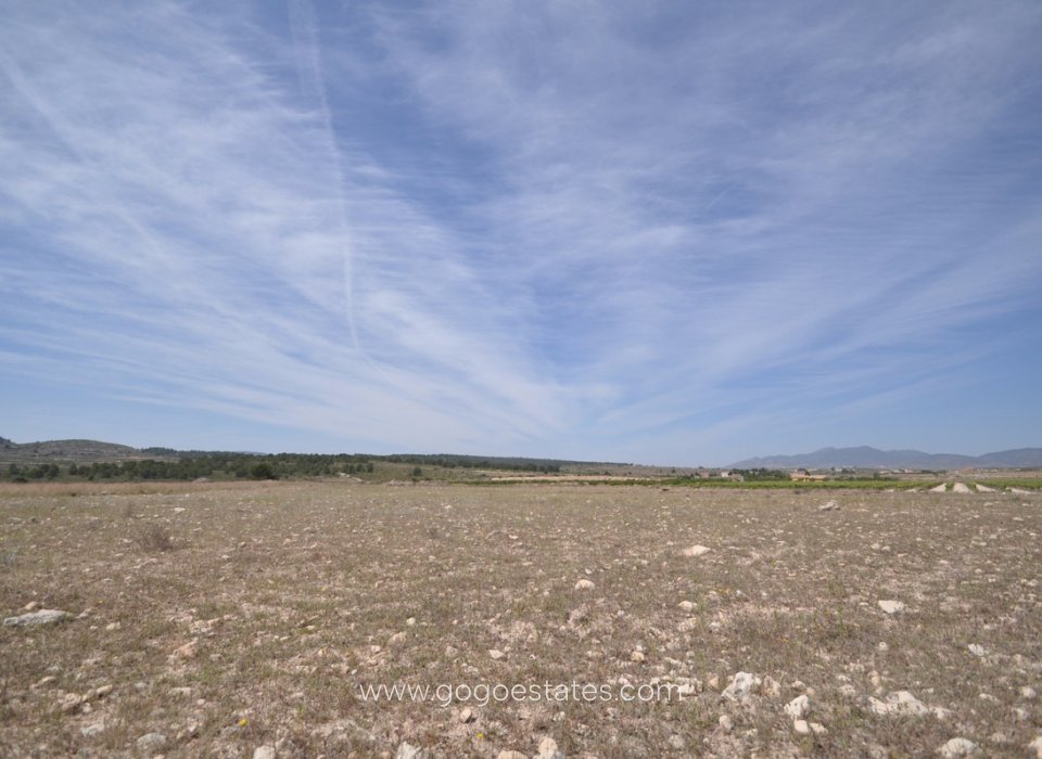 Resale - Plot - Land - Pinoso - Pinoso Centro